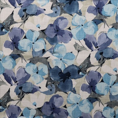 Kasmir BOTANIC GARDEN   OCEAN           